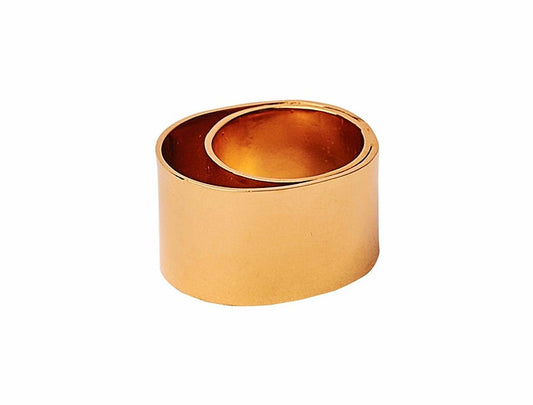 Anillo Tamiz