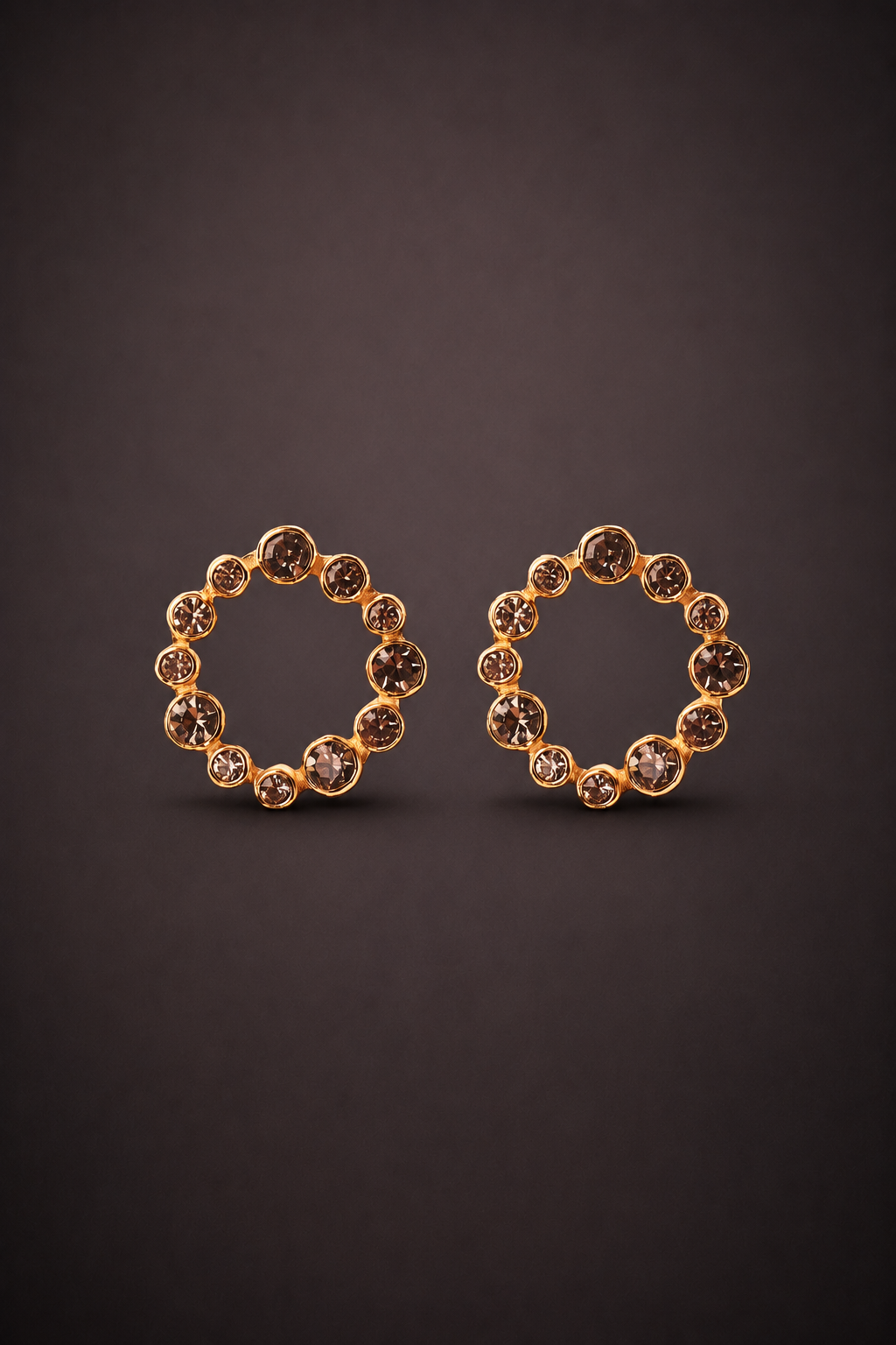 Gaynor 1-Circle Earrings